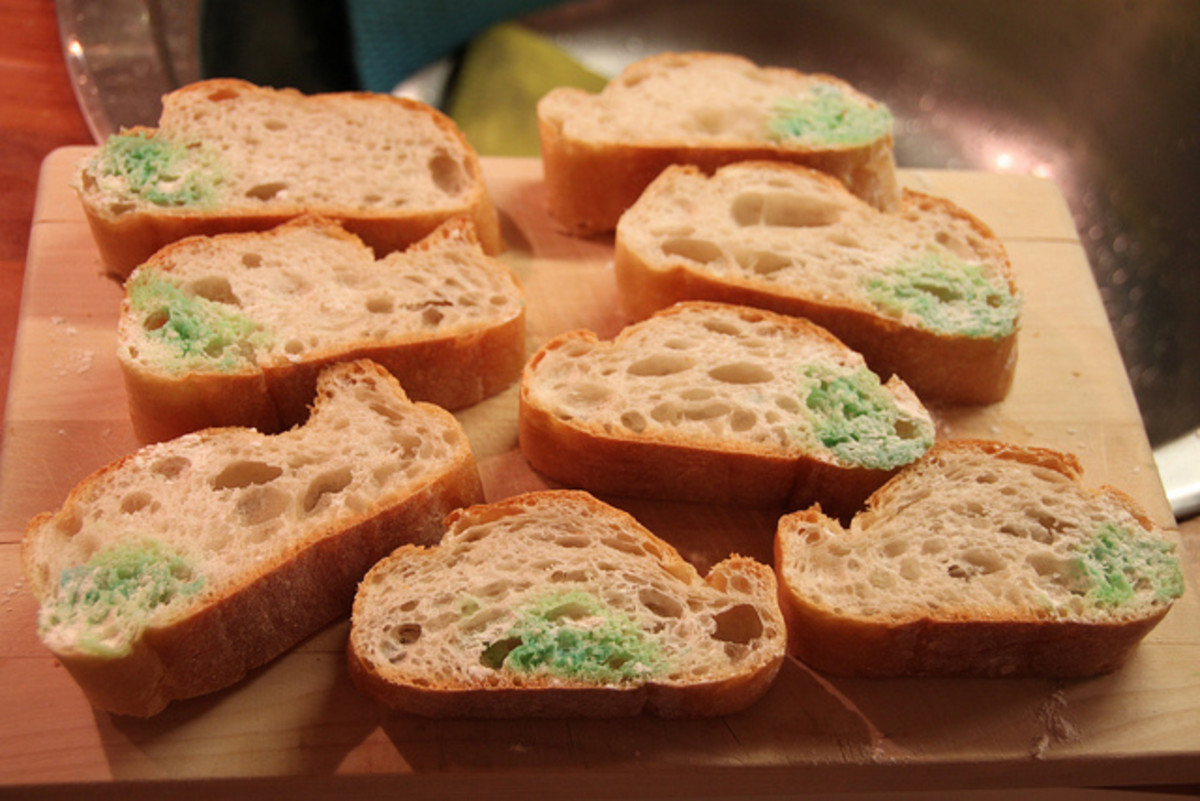bread mold