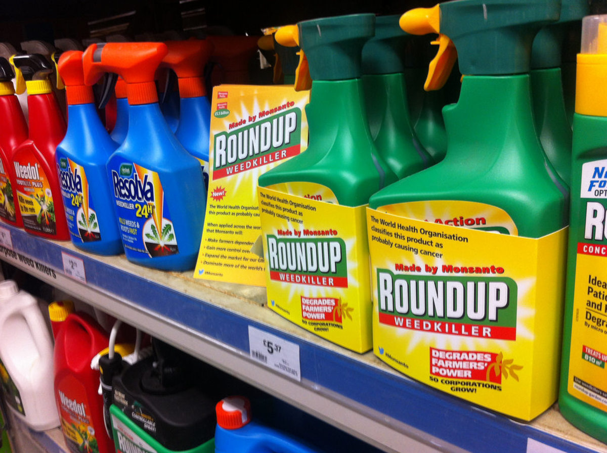Monsanto Denied Request to Overturn California Cancer Warning on Roundup Weed Killer
