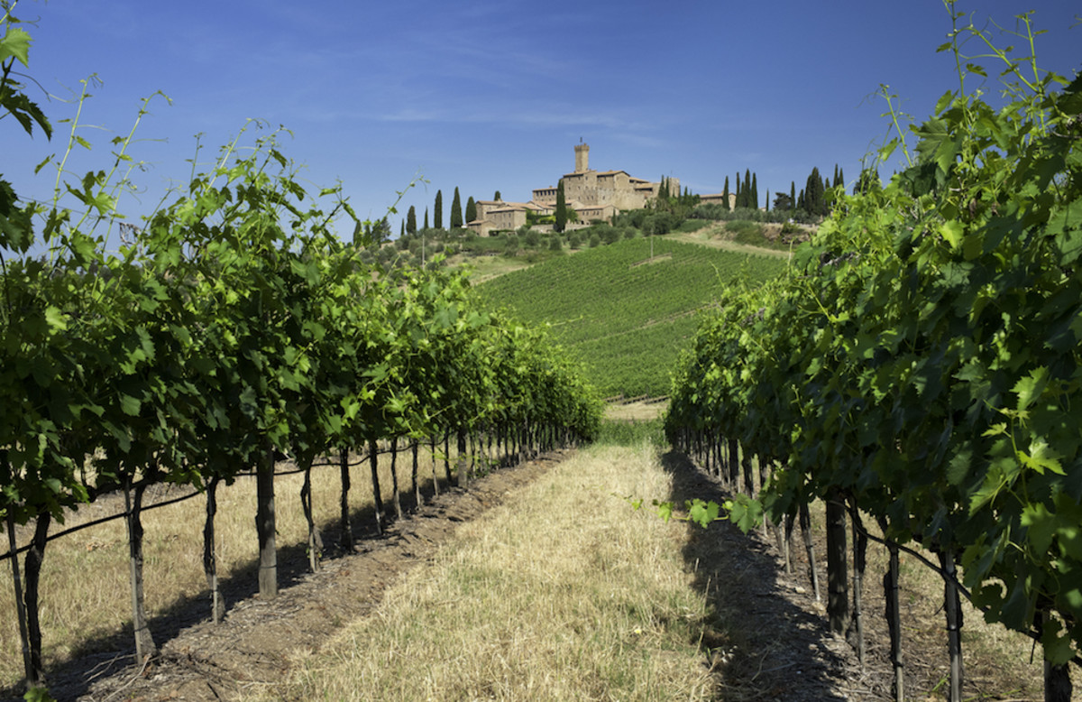 Where to go organic wine tasting in Italy