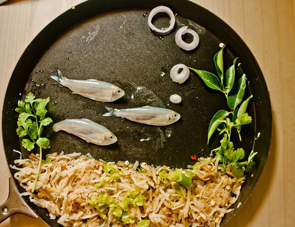 fish food art