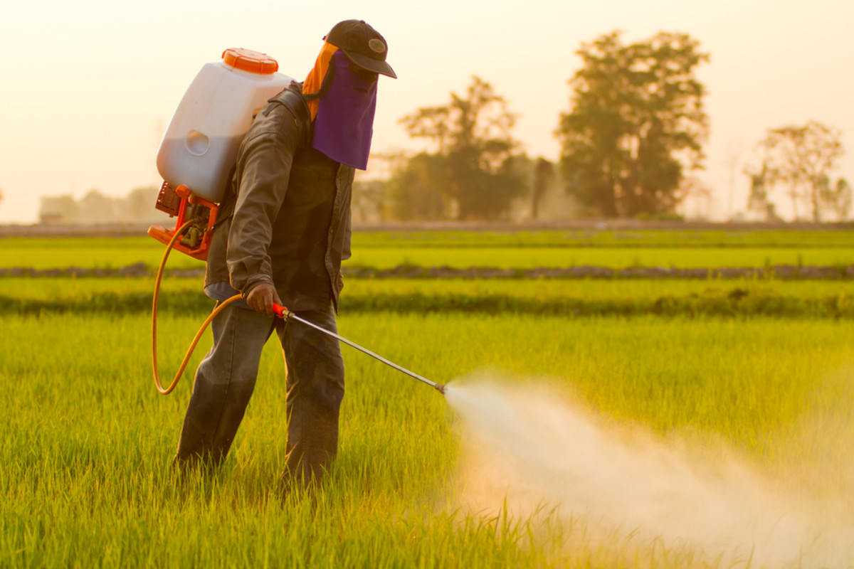 pesticides may cause lou gherig disease