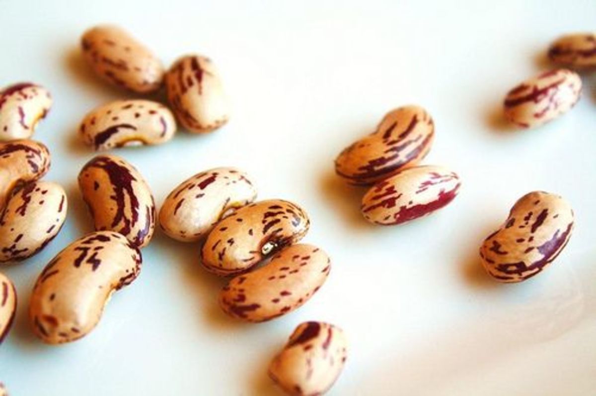 dried-beans-ccflcr-llsimon53