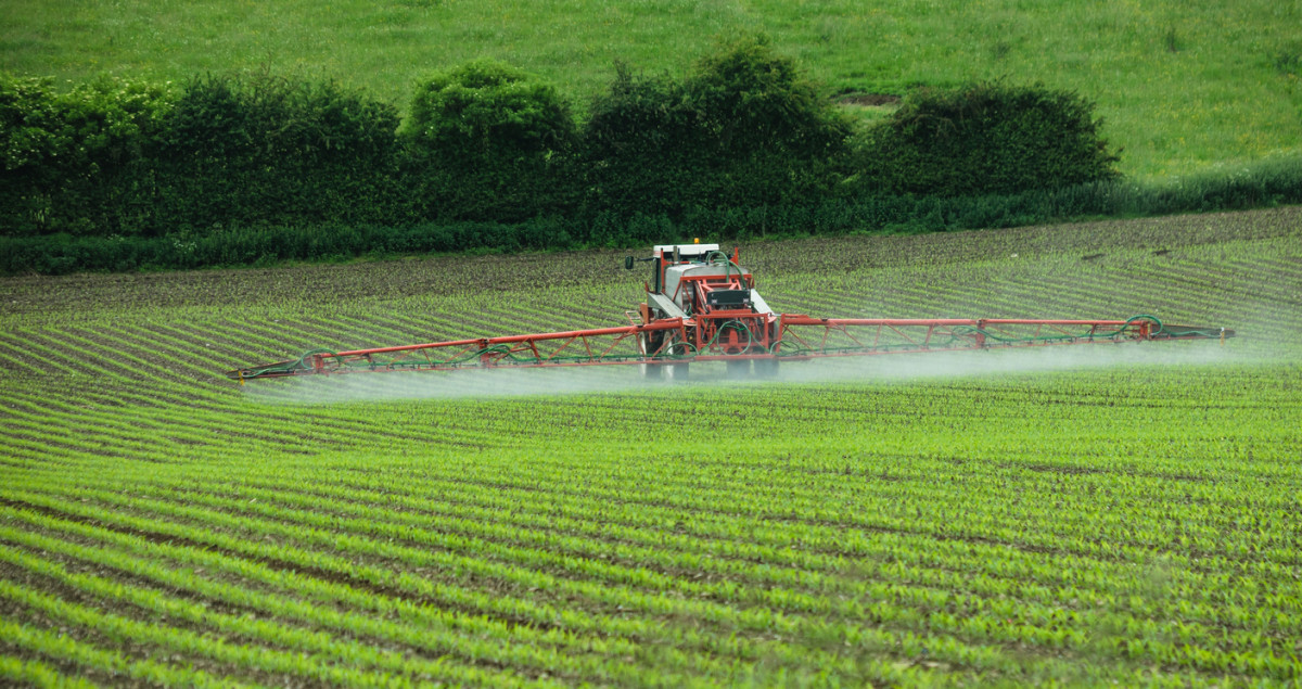 Call for Stricter Regulations on Herbicides as Federal Testing for Glyphosate in Food Resumes