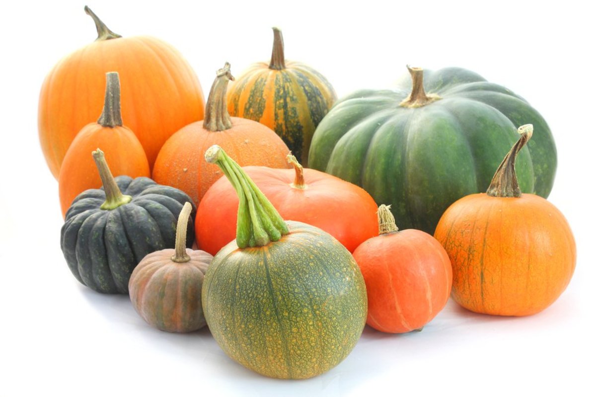heirloom pumpkin varieties