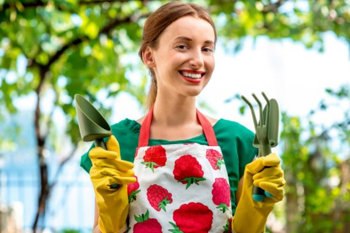 Gardening for Beginners: 10 Questions Every Absolute Beginner Has