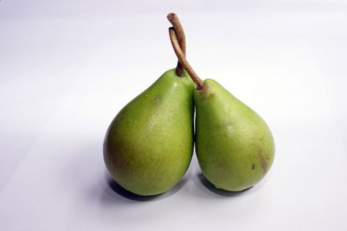 pears-Fabo-Fos
