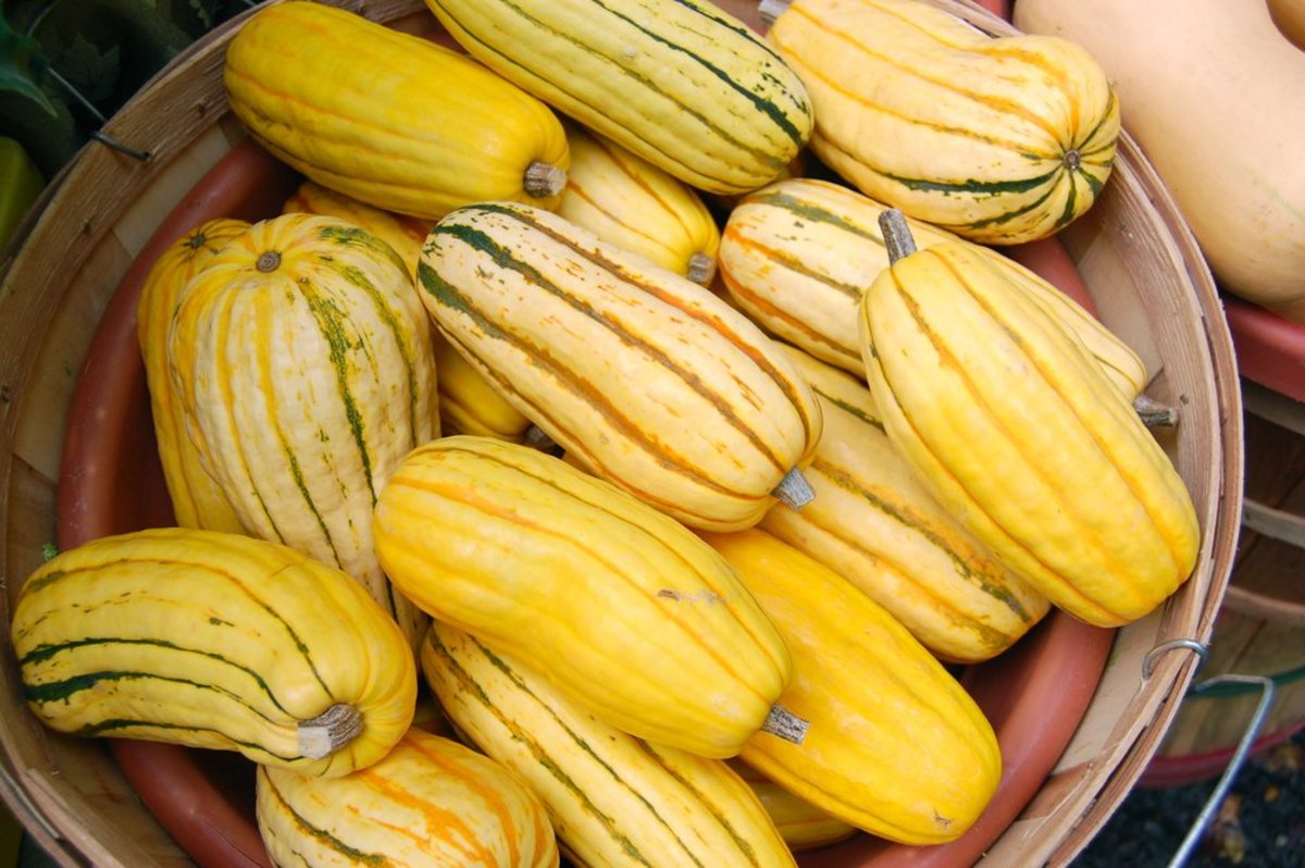 Fall vegetables you may not have heard of but should try today!