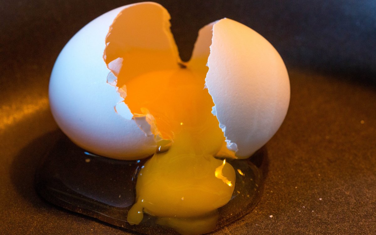 After a Massive 2010 Salmonella Outbreak, Two Egg Company Execs Sentenced to Prison TIme