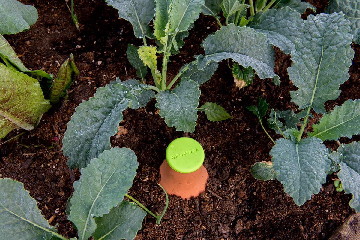 How This Super Simple Tool Can Up Your Organic Gardening Game