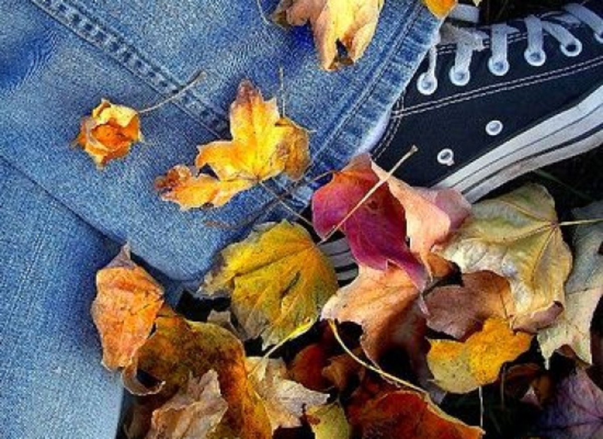 fall_leaves_foot_greencandy8888