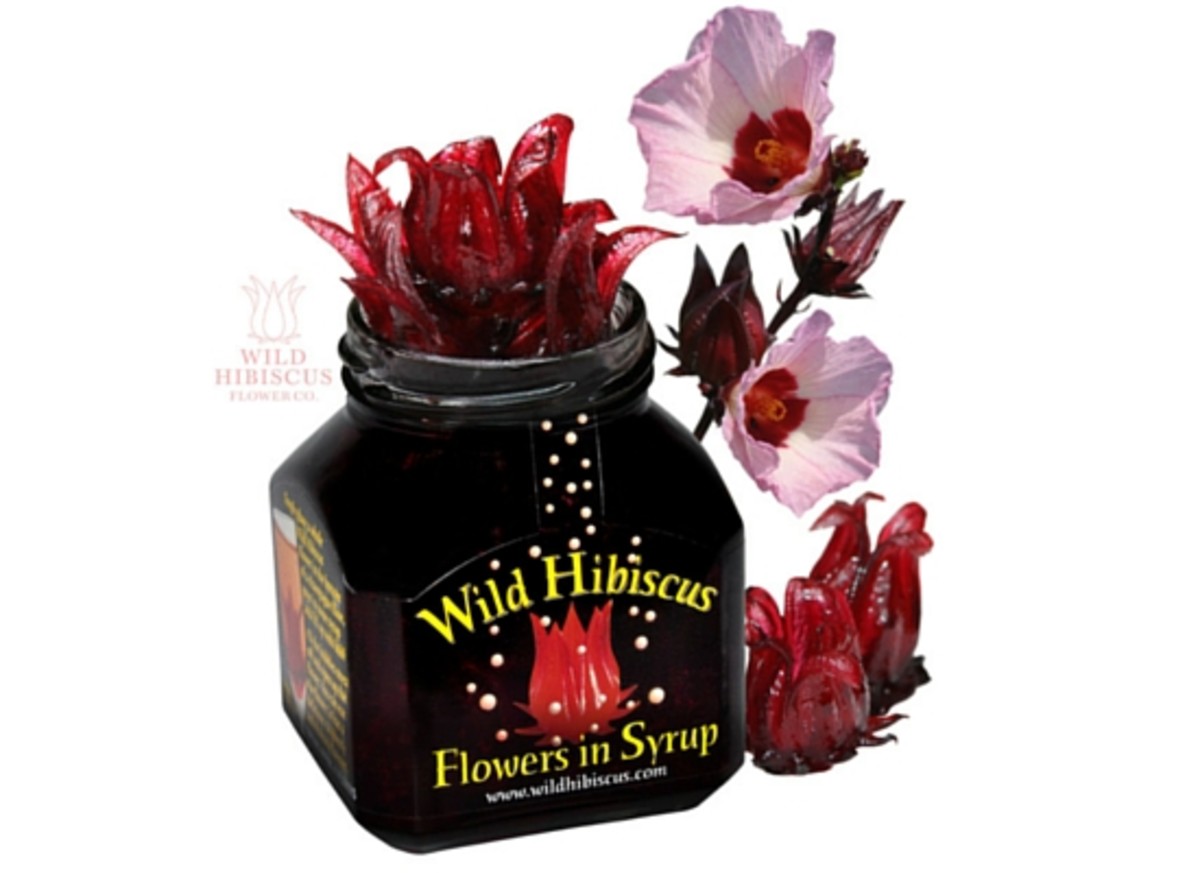 Wild Hibiscus Flower Co