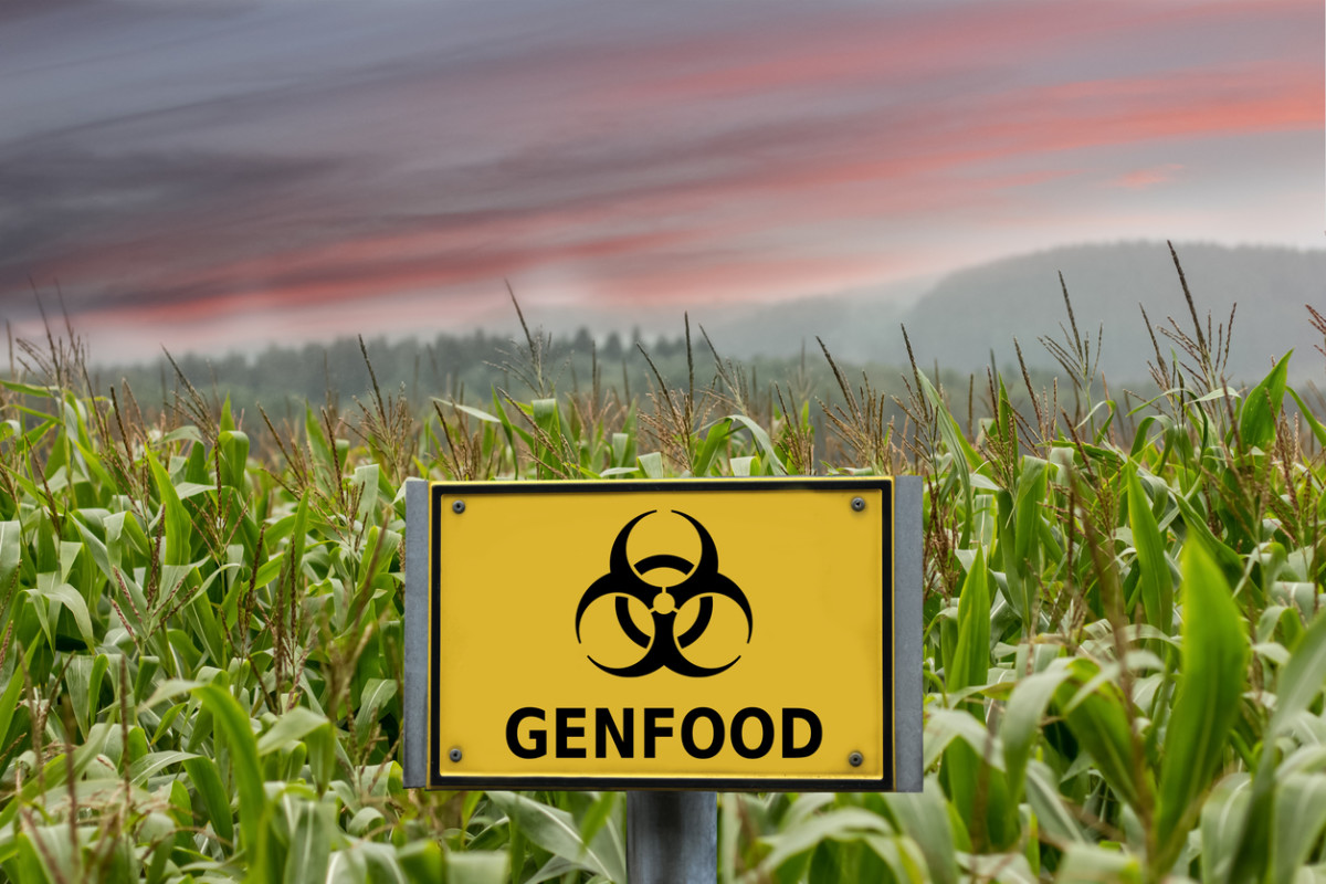 U.S. Earmarks $3M to Promote GMOs
