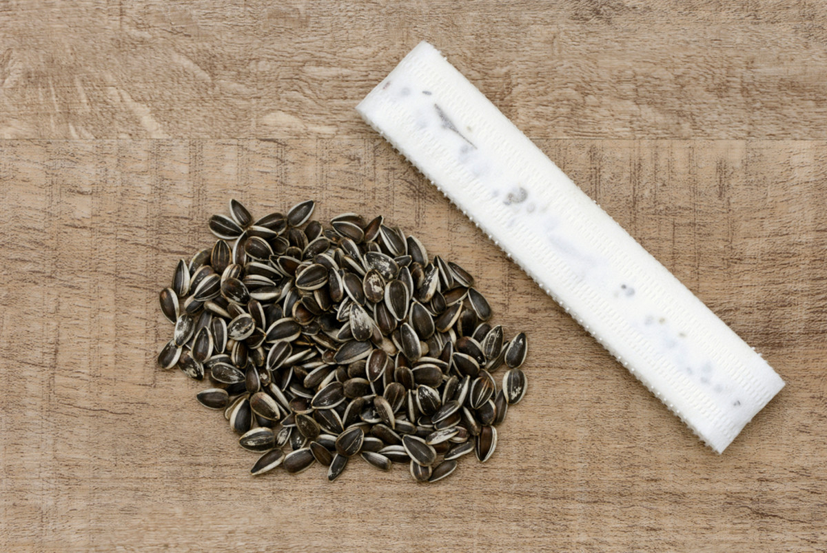 Seed tape DIY in 8 easy steps