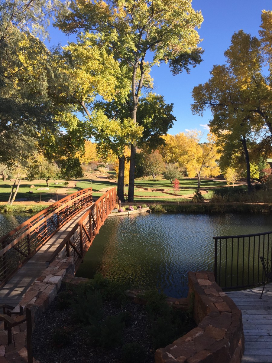 The Real Reason You Need a Digital Detox: A Visit to New Mexico's Sunrise Springs