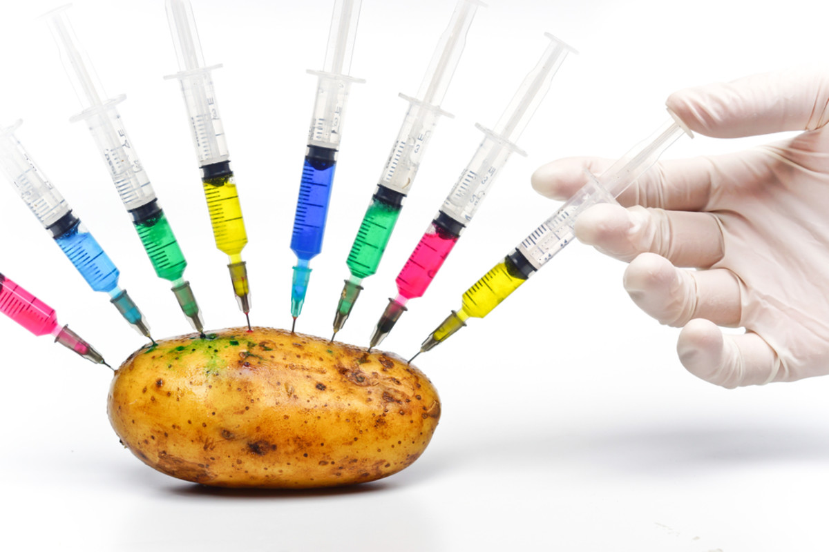 USDA Approves Second Variety of Simplot's GMO Potatoes