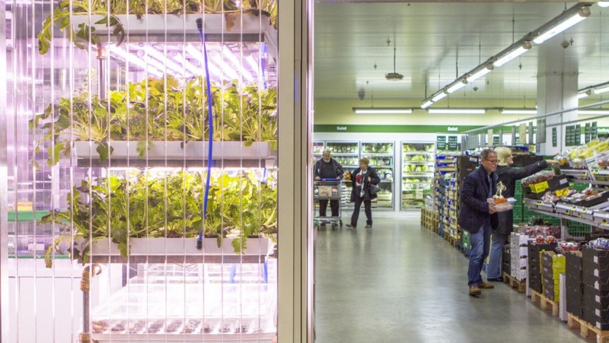 Indoor Urban Farming Puts the 'Grow' in Grocery Store for a Berlin Supermarket