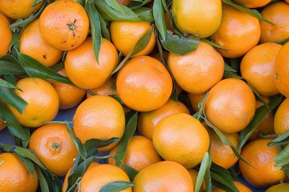 clementines-ccflcr-paul-and-jill