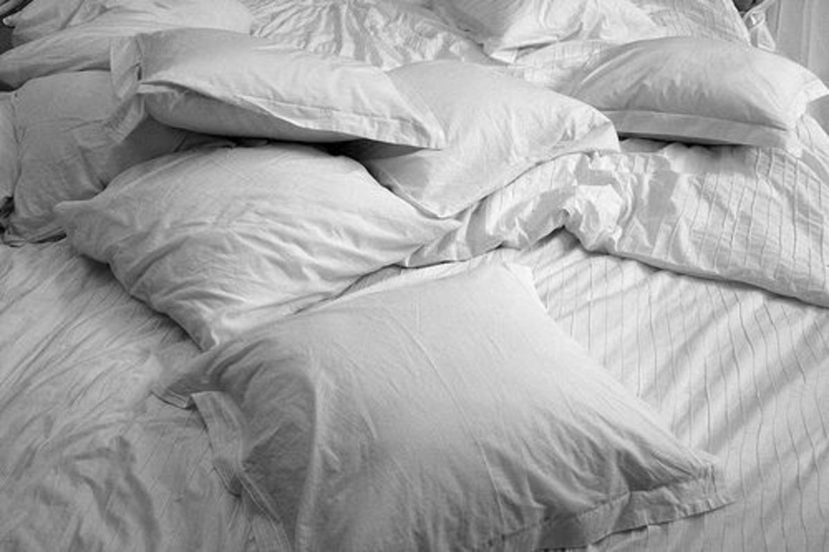 pillows_ccfler_just.Luc_