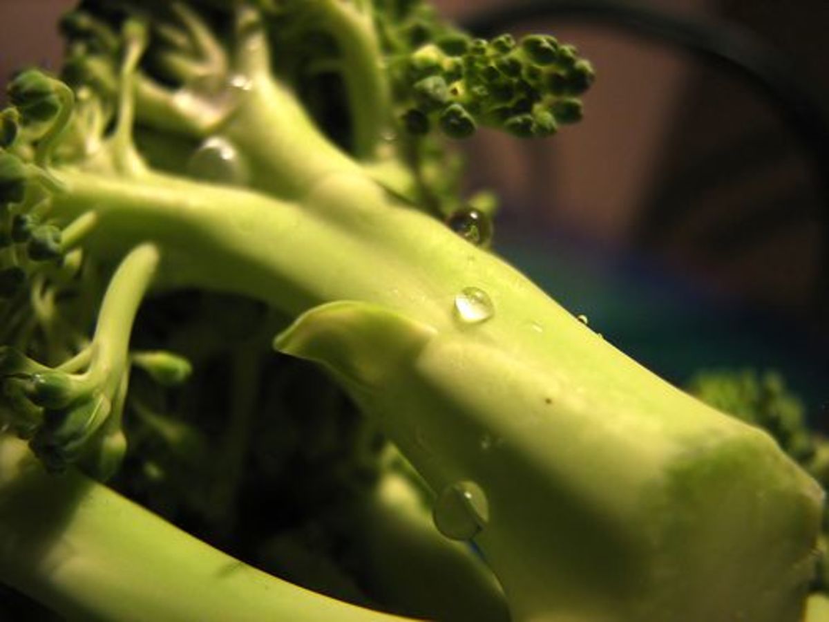 broccoli-ccflcr-rickharris