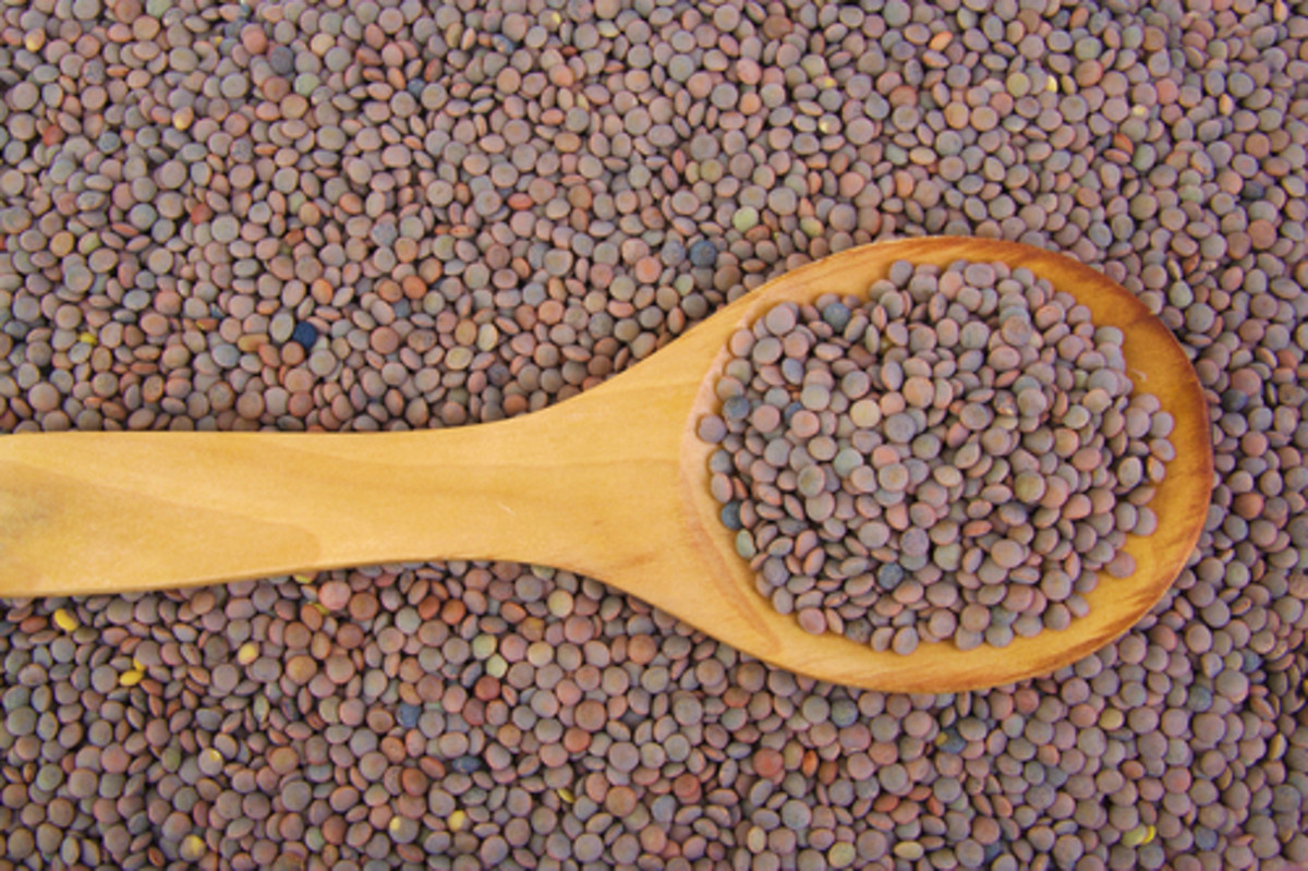 The Sci-Fi Food of the Future is . . . Organic Lentils?