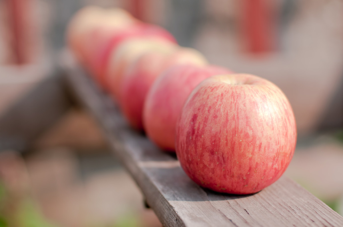 USDA Approves 3rd GMO Apple