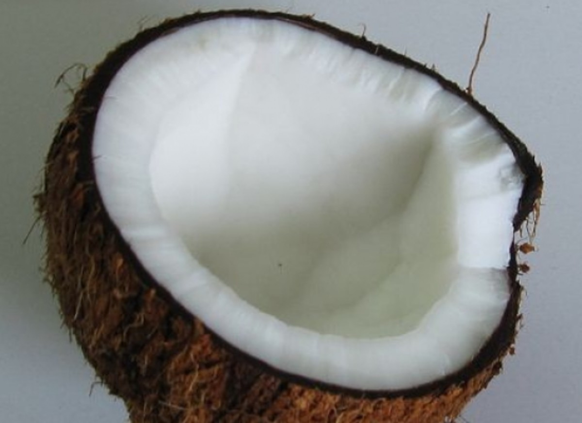 CoconutHalved