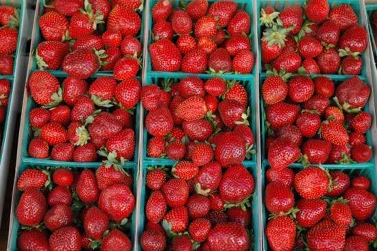 organic-strawberries1
