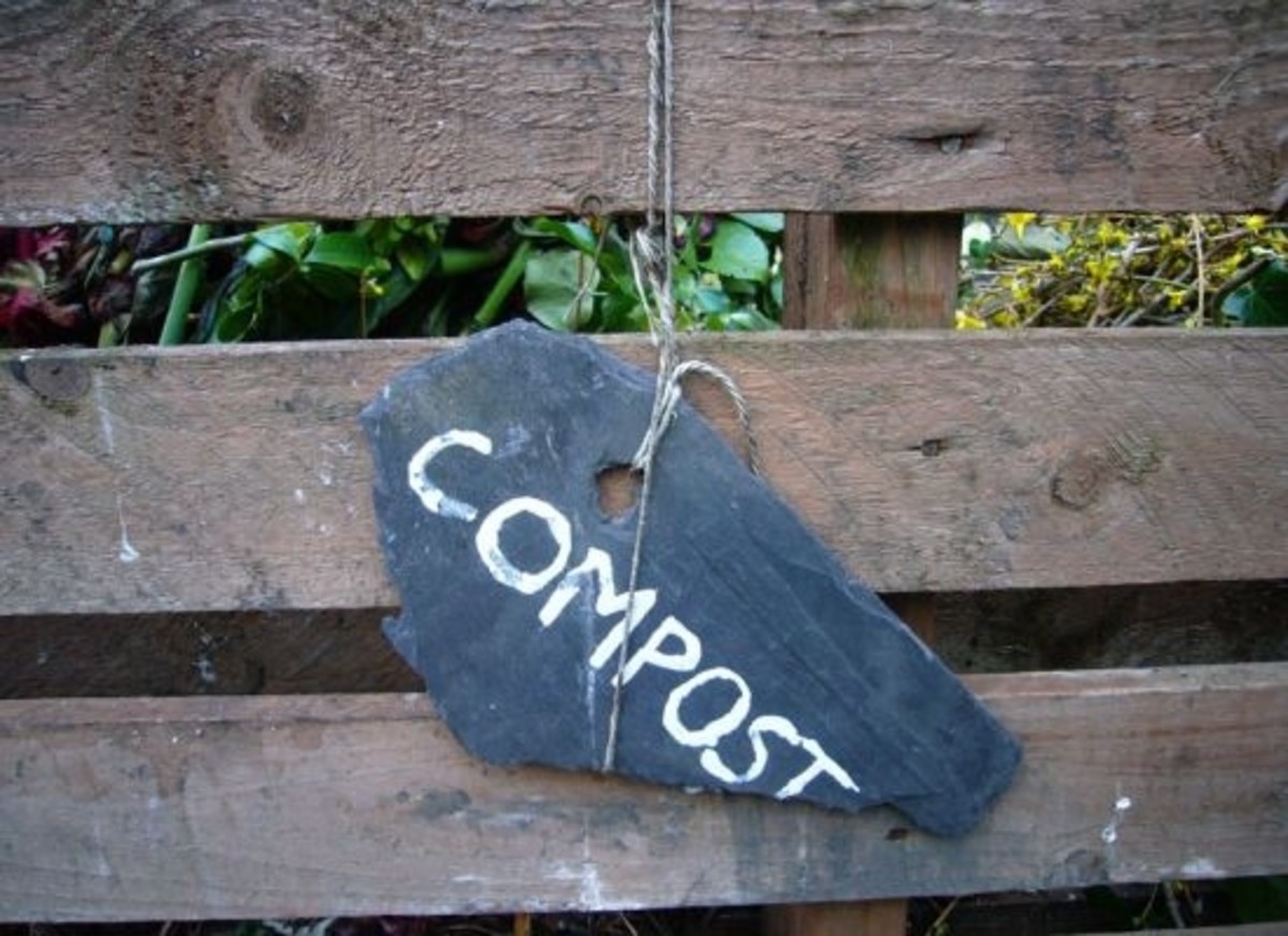 compost-ccflcr-kirstyhall
