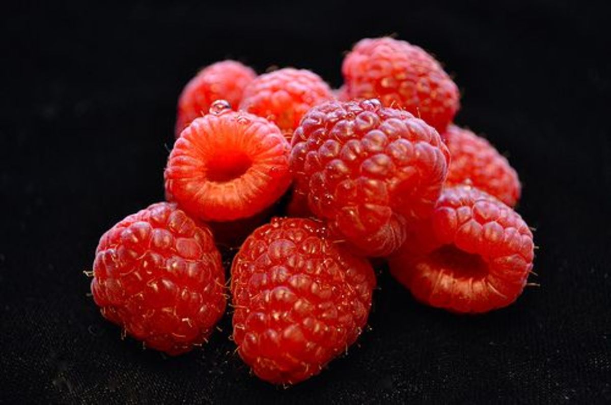 raspberries-ccflcr-k-kendall