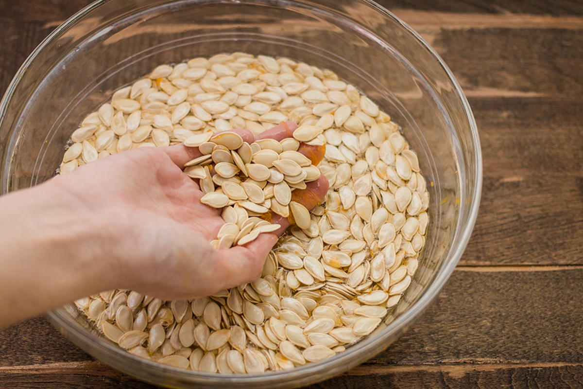 A hand cleaning pumpkin seeds in a bowl of water.