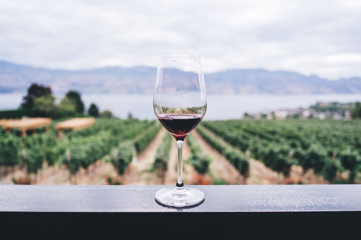best natural and organic wines to try in 2020