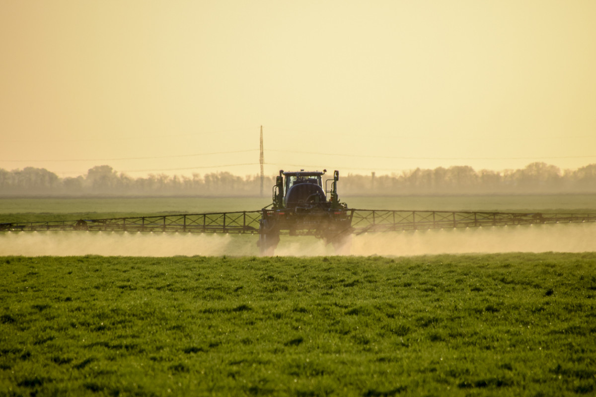Monsanto Appeals $78 Million Verdict Linking Glyphosate to California Man's Cancer