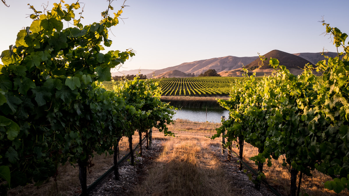 A (Safe) Wine & Wellness Road Trip Escape Up California's Central Coast