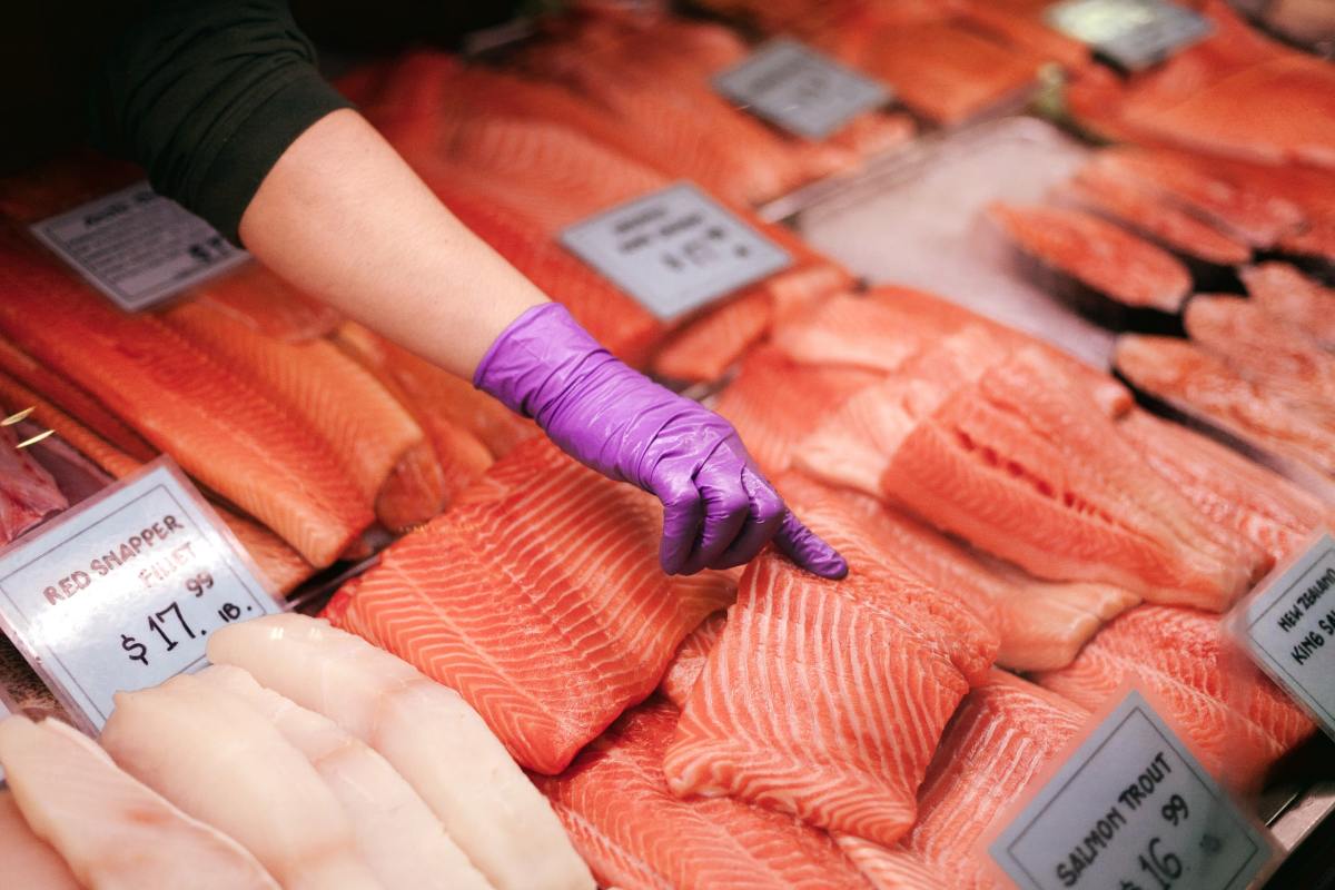 Downstream Environmental Risks the Latest GMO Salmon Setback