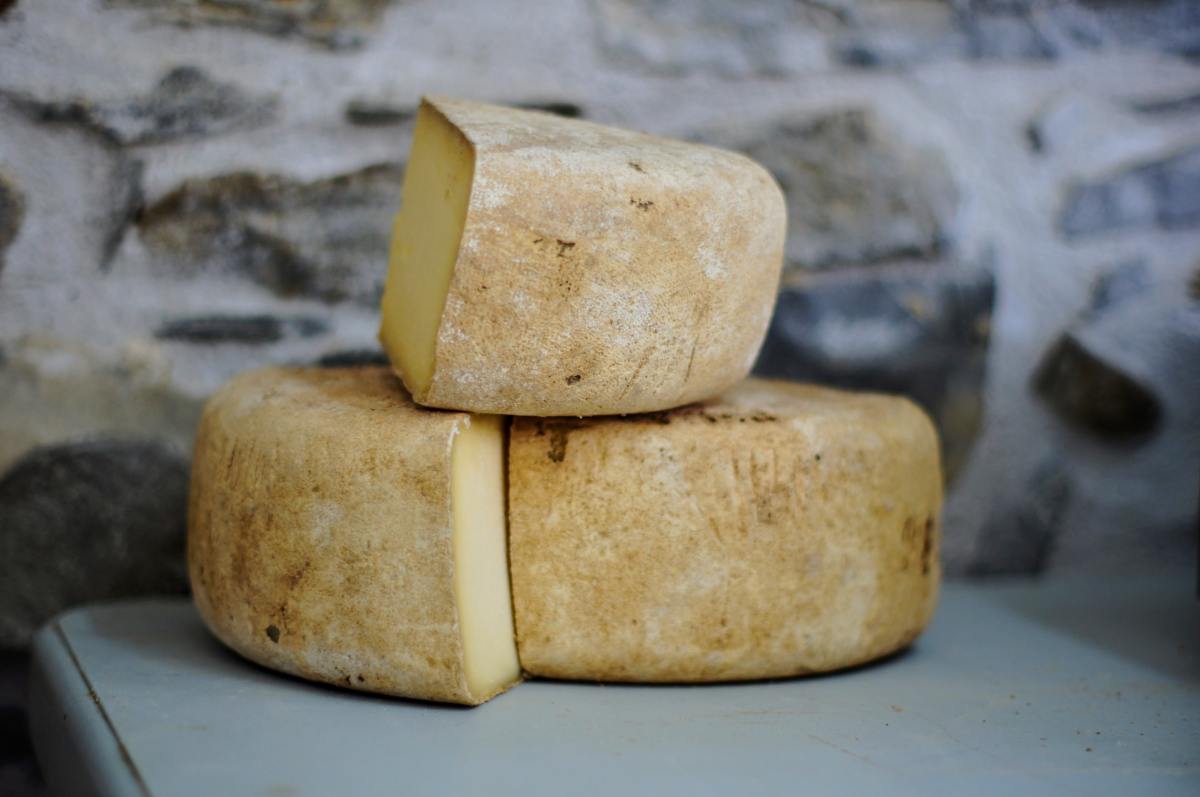 can cheese exist in a sustainable diet?