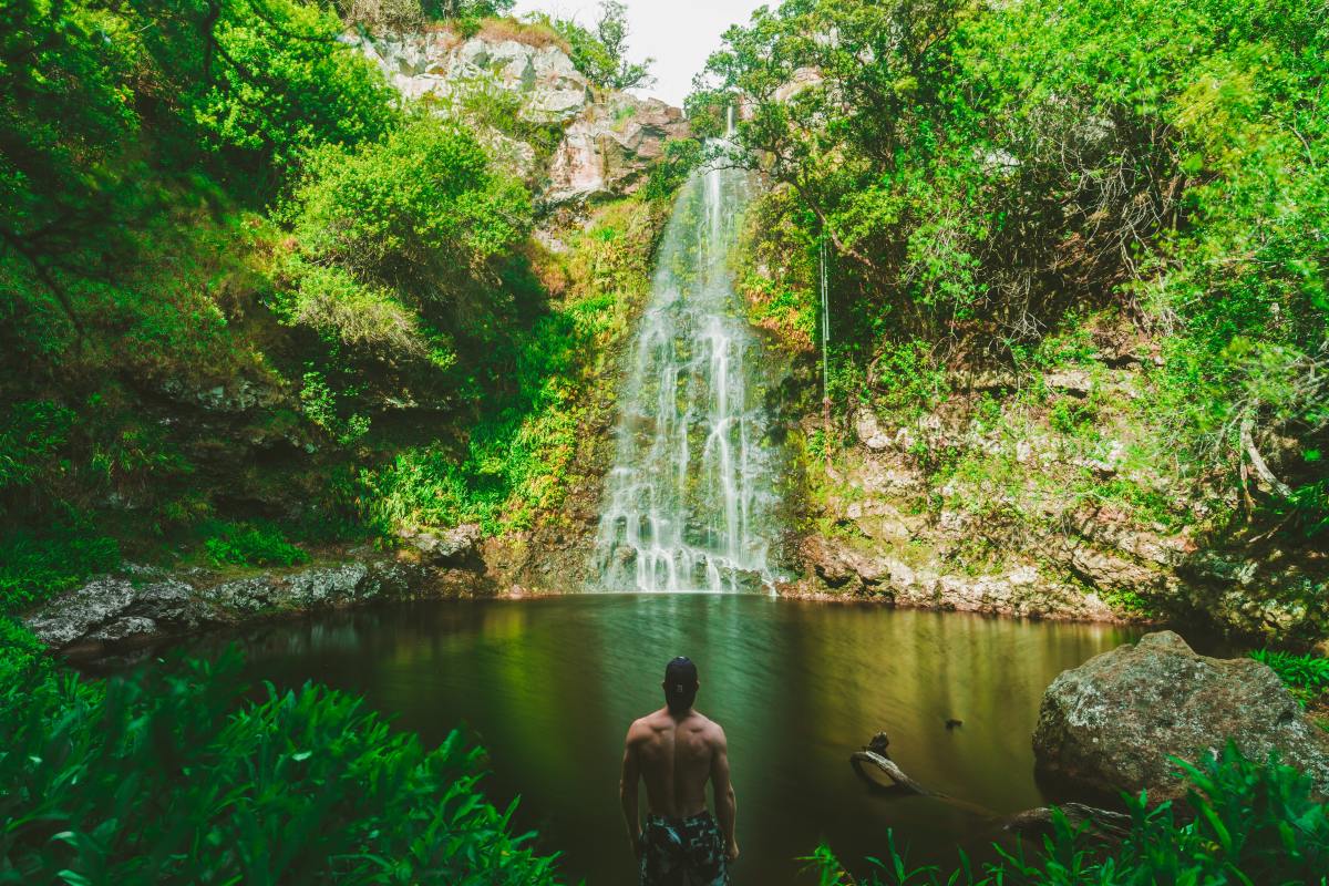 Man looking at a tropical waterfall.