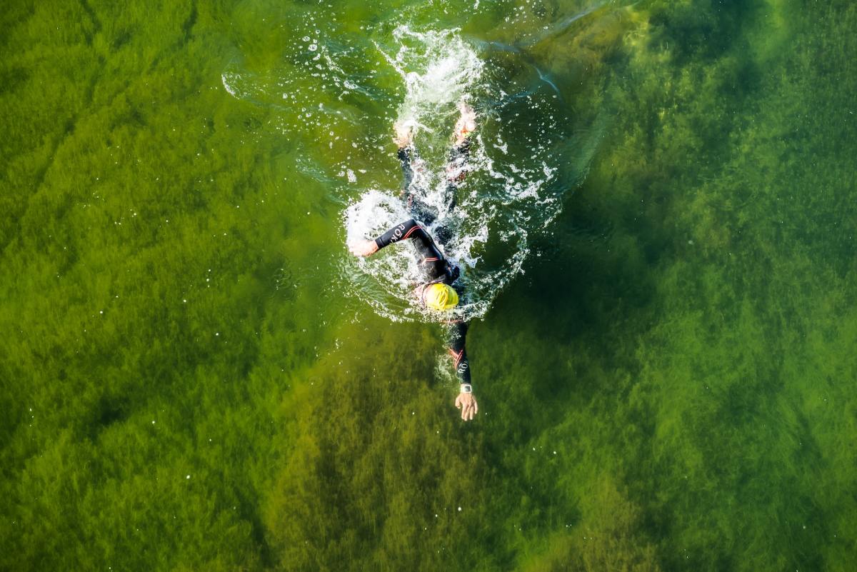 person swimming over algae