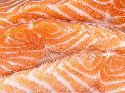 Wild-Caught Salmon vs. Farm-Raised: Which Is Better?