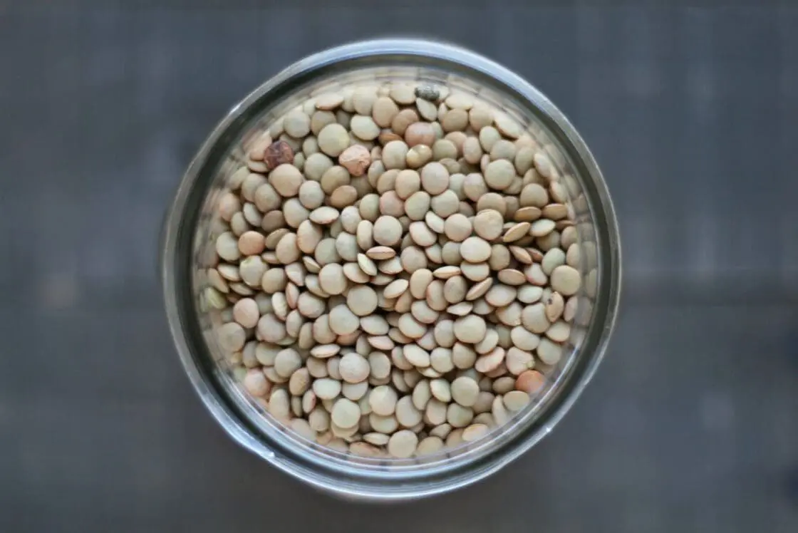 lentil crockpot soup