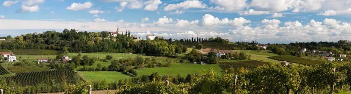 Rolling green hills with vineyards and cypress trees in a Tuscan landscape