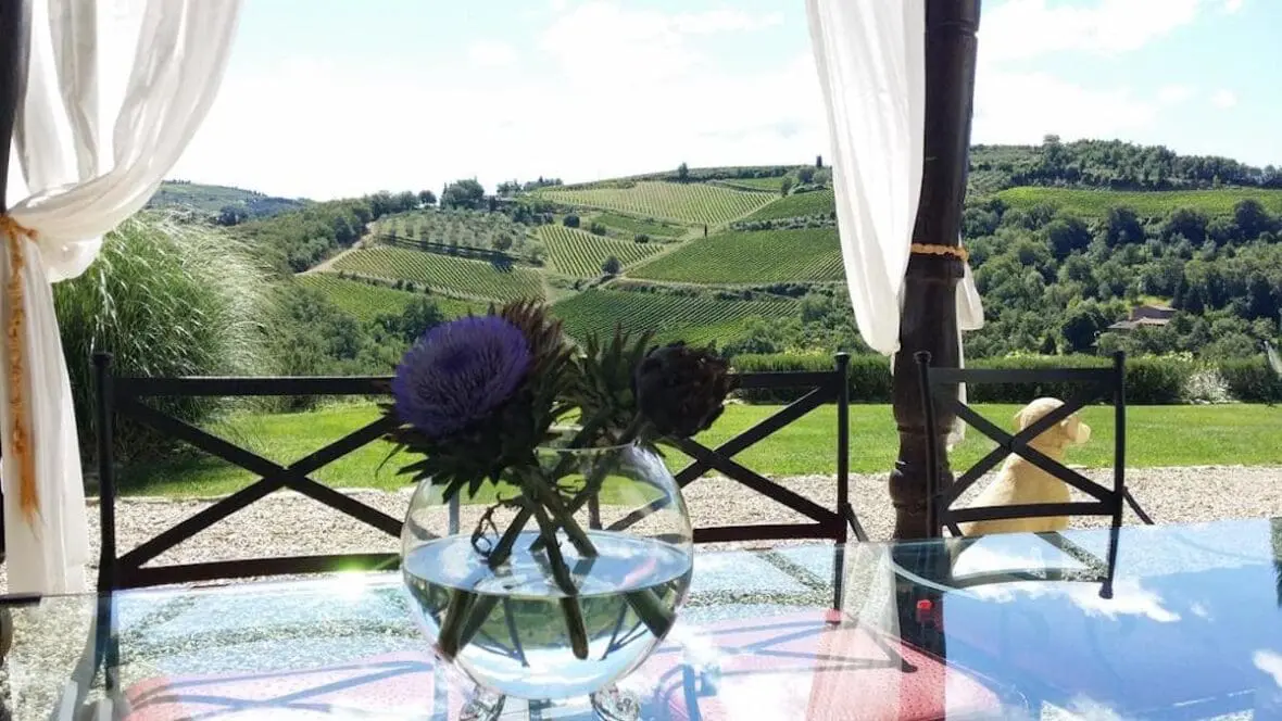 Purple thistle flowers in a vase overlooking rolling Italian vineyards from a pergola terrace