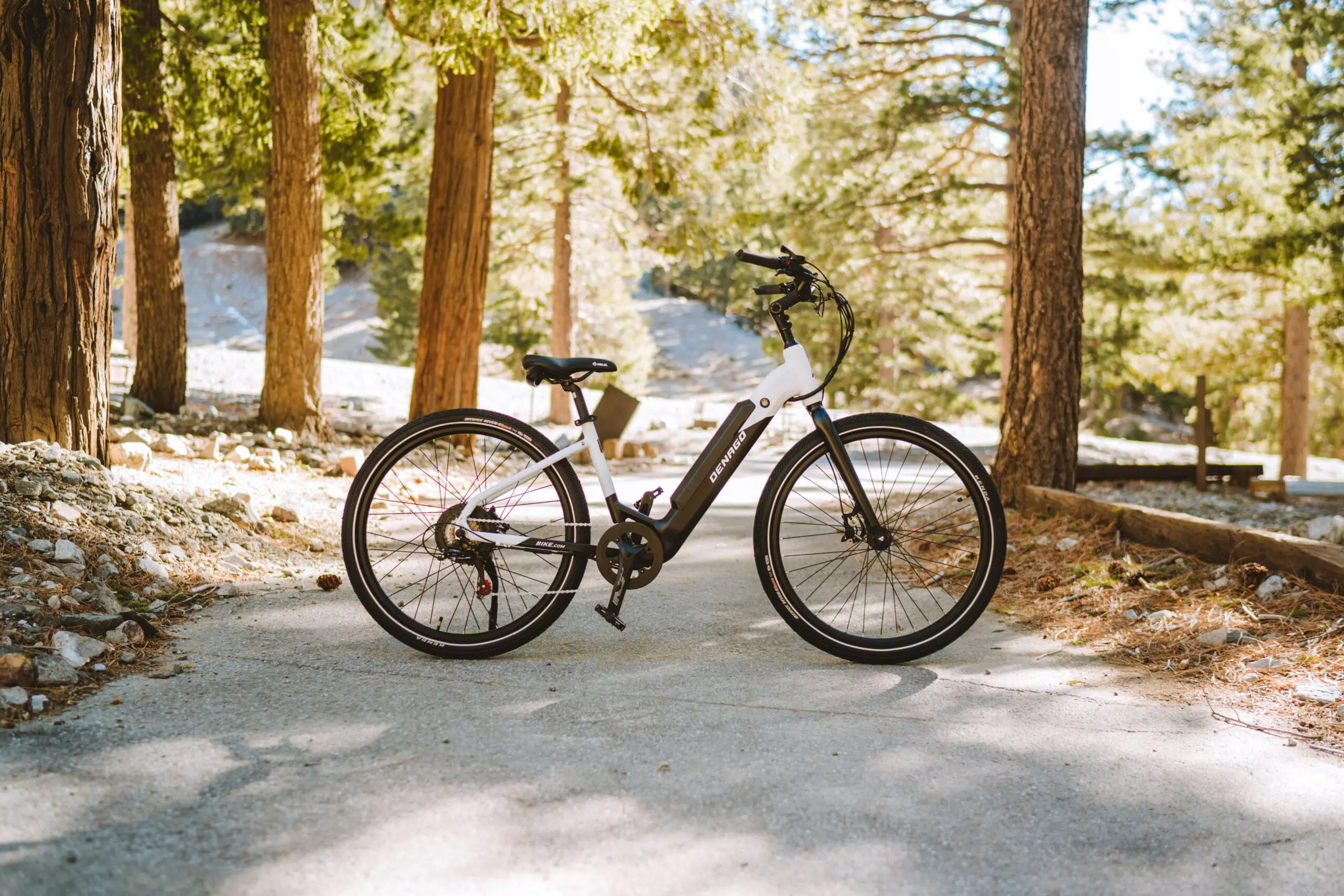 Denago City Model 1 E-Bike on a trail in the woods