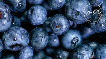 Image of blueberries, one of the best foods for longevity.