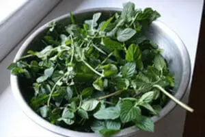 Fresh mint leaves in a metal bowl