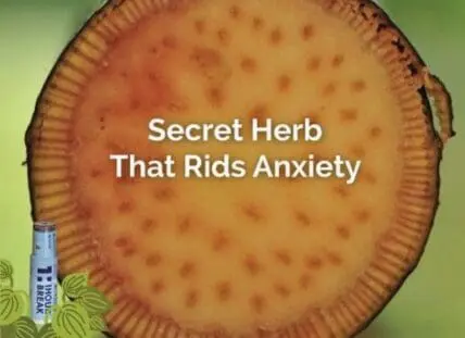 Pie chart overlaid with text "Secret Herb That Rids Anxiety
