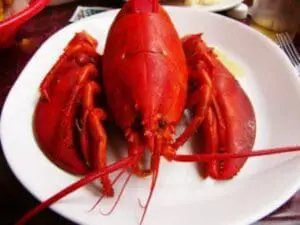 Whole cooked red lobster on white plate with fork