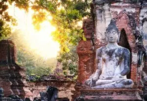 Why we need ancient wisdom