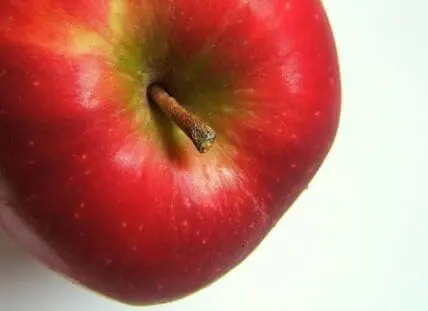 Close-up of a red apple with stem and leaf against white background