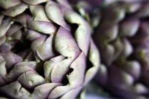 Close-up of fresh purple artichoke leaves with layered petals