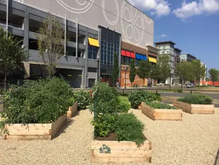 Green City Growers installed raised bed gardens at Assembly Row